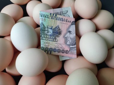 price in consumption and production cost of egg, Honduran banknote of five lempiras and heap of organic chicken egg clipart