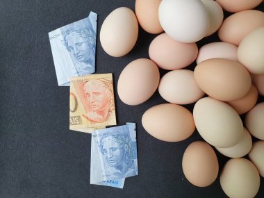 Yumurta tüketim ve üretim maliyeti, Brezilya banknotları ve organik tavuk yumurtası yığını