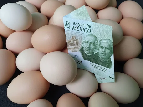 Цена Потреблении Себестоимость Производства Яйца Мексиканской Купюры 200 Песо Кучи — стоковое фото