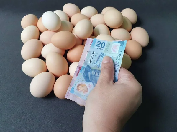 Hand Einer Person Die Mit Mexikanischem Geld Für Bio Hühnerei — Stockfoto