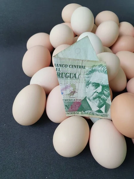 Prezzo Consumo Costo Produzione Delle Uova Banconota Uruguaiana Venti Pesos — Foto Stock