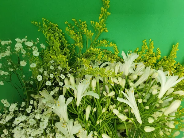 Bouquet Avec Fleurs Agapanthe Blanches Feuillage Sur Fond Vert — Photo