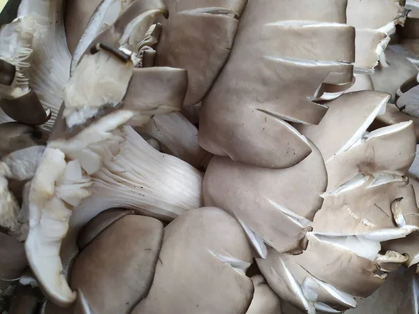 Pazar, arkaplan ve dokuda yenilebilir taze mantar yığınına yaklaşım