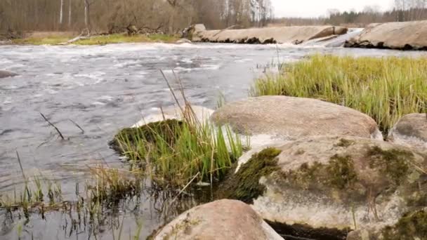 La caméra se déplace au-dessus de l'eau douce propre d'un ruisseau forestier qui coule sur des roches moussues . — Video