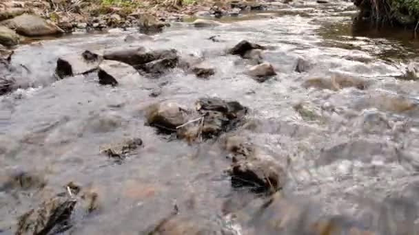 Kamera porusza się nad czystą, słodką wodą strumienia leśnego biegnącego przez skały.. — Wideo stockowe