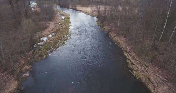 4k Widok z lotu ptaka dzikiej rzeki w lesie. Woda przepływa przez skały.. — Wideo stockowe