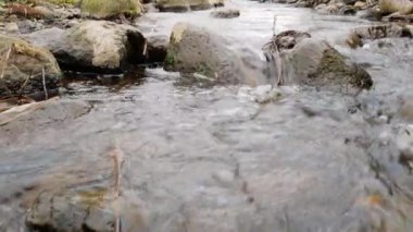 Kamera, yosunlu kayaların üzerinden akan temiz bir orman deresinin üzerinden geçiyor..
