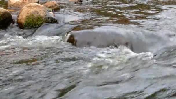 Caméra se déplace sur l'eau douce propre d'un ruisseau forestier qui coule sur les rochers .