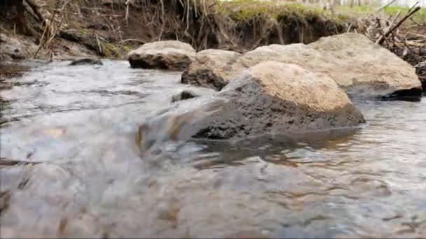 La caméra se déplace au-dessus de l'eau douce propre d'un ruisseau forestier qui coule sur des roches moussues .