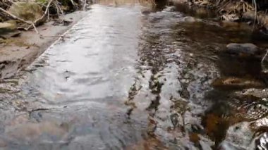 Kamera, yosunlu kayaların üzerinden akan temiz bir orman deresinin üzerinden geçiyor..