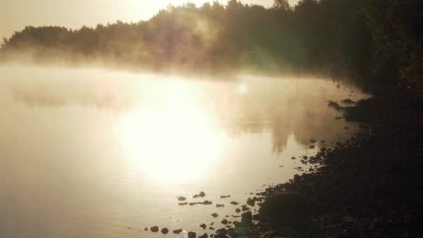 Fiskare som fångar fisk tidigt på morgonen vid soluppgången på hösten. — Stockvideo