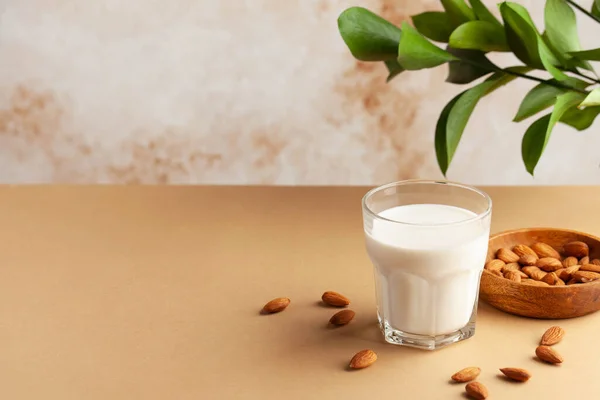 Bardakta sebze badem sütü, badem fıstığı, yeşil bitki. Süt ürünlerine alternatif. Uzayı kopyala Flatlay. Yüksek kalite fotoğraf