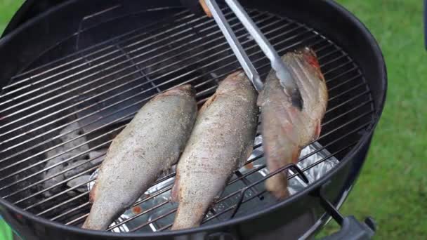 The chef turns the rainbow trout on the grill. Fish is fried on the coals of the barbecue grill. Grilled dishes — Stock Video