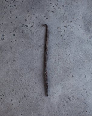 Gri arka planda vanilya kapsülü. Boşluğu kopyala.