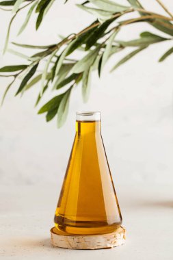 Bir zeytin dalının arka planında cam bir şişede zeytin yağı. Sağlıklı beslenme kavramı. 