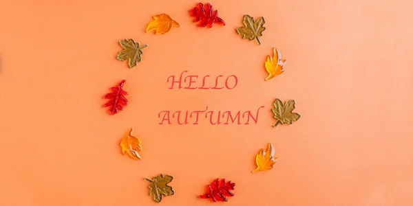 Banner Flat Lay Text Hello Autumn Surrounded Yellow Red Green — Stock Photo, Image