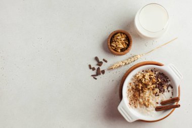 Fındıklı yulaf lapası, tarçın ve çikolata, bir bardak süt. Kahvaltı, sağlıklı yiyecekler. Boşluğu kopyala. 