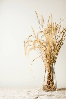 Ahşap bir masadaki cam vazoda kurumuş çiçeklerin modern modaya uygun hayatı. Mesaj ya da reklam için yer var. Minimalizm kavramı. Yüksek kalite fotoğraf