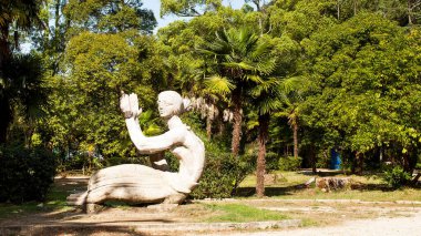 Abhazya 'nın Gagra kentinin manzarası. Seyahat kavramı. Yeşil ağaçlardaki şehir. Yüksek kalite fotoğraf
