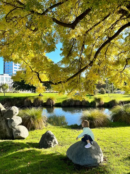 Manzaralı parkta sonbaharın tadını çıkaran bir kız. Doğa
