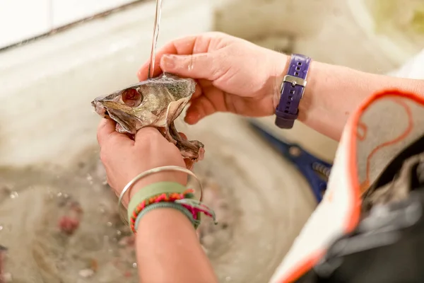 Kırsal mutfak lavabosunda balık temizleyen kadın elleri.