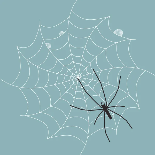 Павук Мокрій Павутині Вектор — стоковий вектор