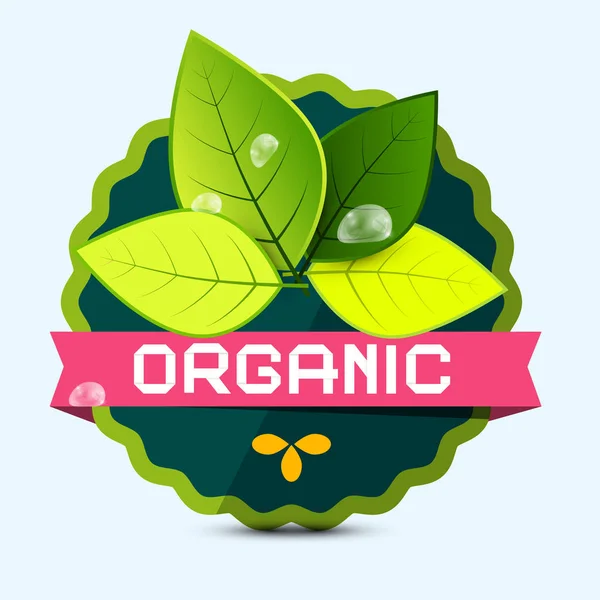 Organik Etiket Etiket Yaprakları Ile Vektör — Stok Vektör