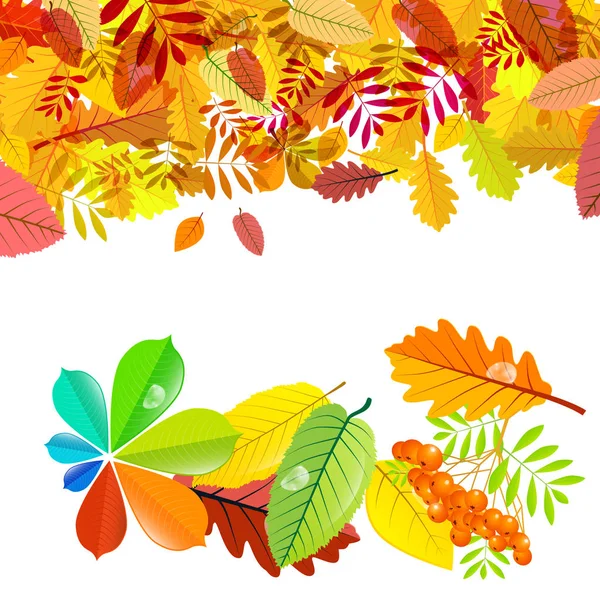 Autumn Background Colorfl Falling Leaves — Stock Vector