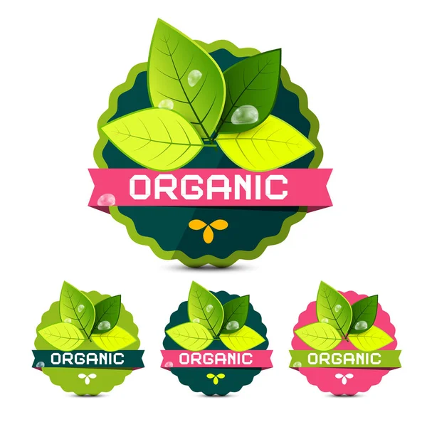 Organic Labels Leaves Isolated White Background Vector — Stock Vector