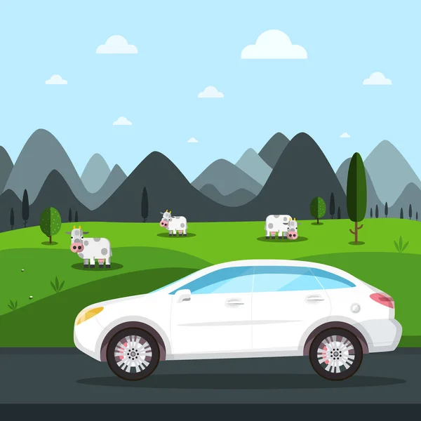 White Car Trip Vector Design Cows Field Mountains Background — Stock Vector