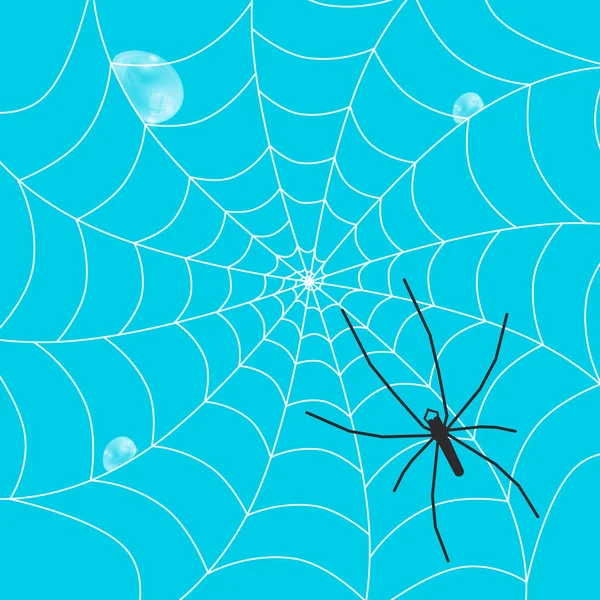 Silhoette de aranha grande na Web com gotas de chuva e céu azul no fundo - Vetor — Vetor de Stock