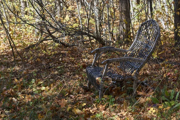 La silla en el jardín de otoño con hojas amarillas  . — Foto de Stock