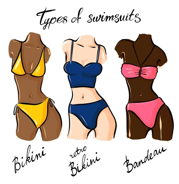 Set of female swimsuit illustration. Various types of women beac