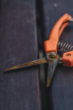 Eski, paslı budama makası