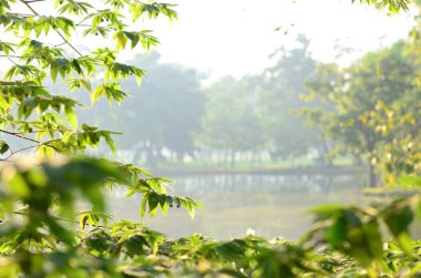 Bangkok Tayland Halk Parkı 'nda Wachirabenchat