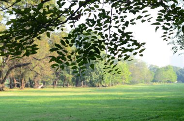 Bangkok Tayland Halk Parkı 'nda Wachirabenchat