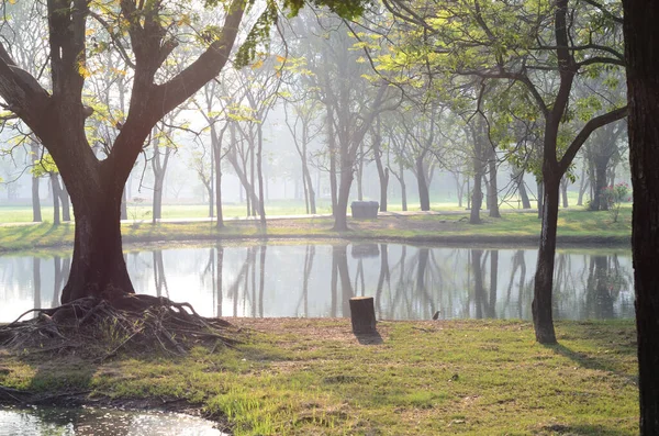 Bangkok Tayland Halk Parkı 'nda Wachirabenchat