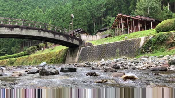 River Running Nara Prefecture Japan — Stock Video