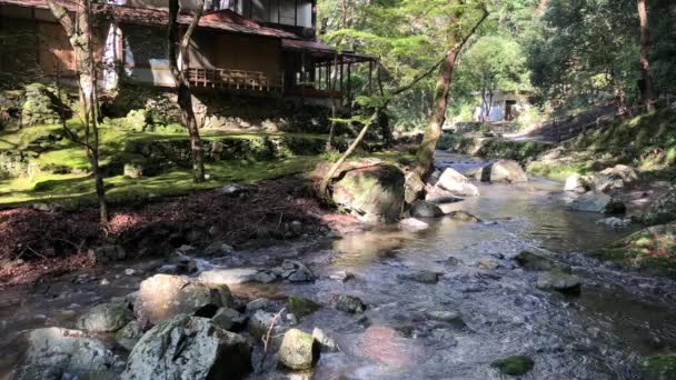 Río Que Fluye Través Del Bosque Parque Minoh Osaka Japón — Vídeo de stock