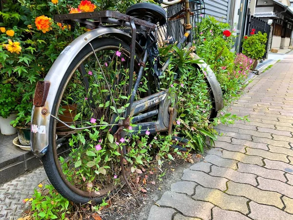 Egy bicikli parkol egy virágoskert oldalán.. — Stock Fotó
