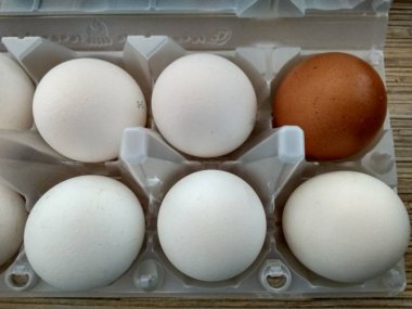 Beyaz ve kahverengi kabuklu yumurtalar yakın.