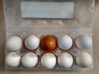 Beyaz ve kahverengi kabuklu yumurtalar yakın.