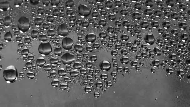 Droplets flow down the glass. Close up — Stock Video