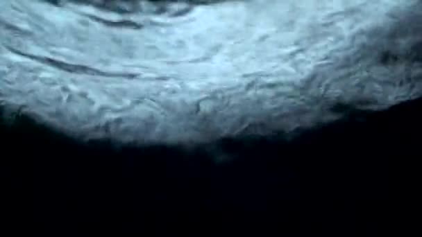 Eau jaillissant sur fond noir 