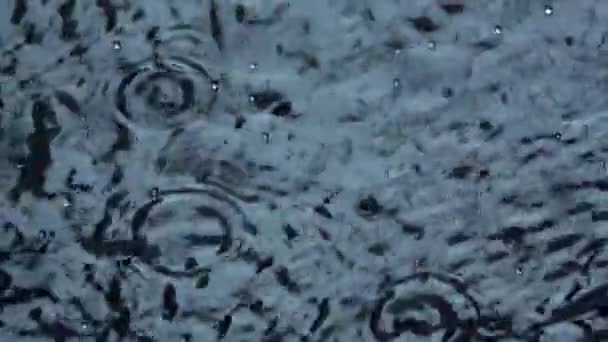 Water regen druppels op zwarte achtergrond. Slow-motion. Macro. — Stockvideo