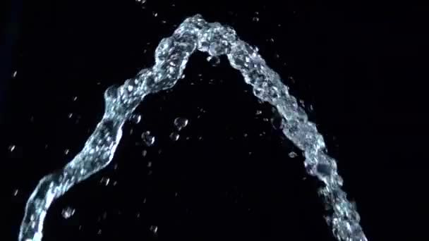 Waterstraal is gieten omhoog op zwarte achtergrond. Slow motion. — Stockvideo