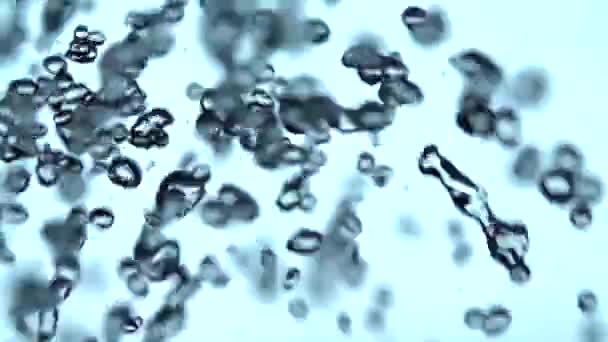 Blått vatten droppar sprutar mot vit bakgrund — Stockvideo