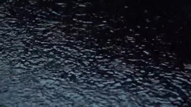 Siyah arka plan üzerinde su yağmur damlaları. Ağır çekim. Makro.