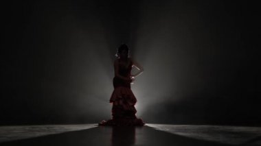 Kız Flamenko dans dans ediyor. Arkadan ışık. Duman arka plan