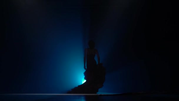Meisje dansen flamenco. Licht van achter. Rook blauwe achtergrond — Stockvideo